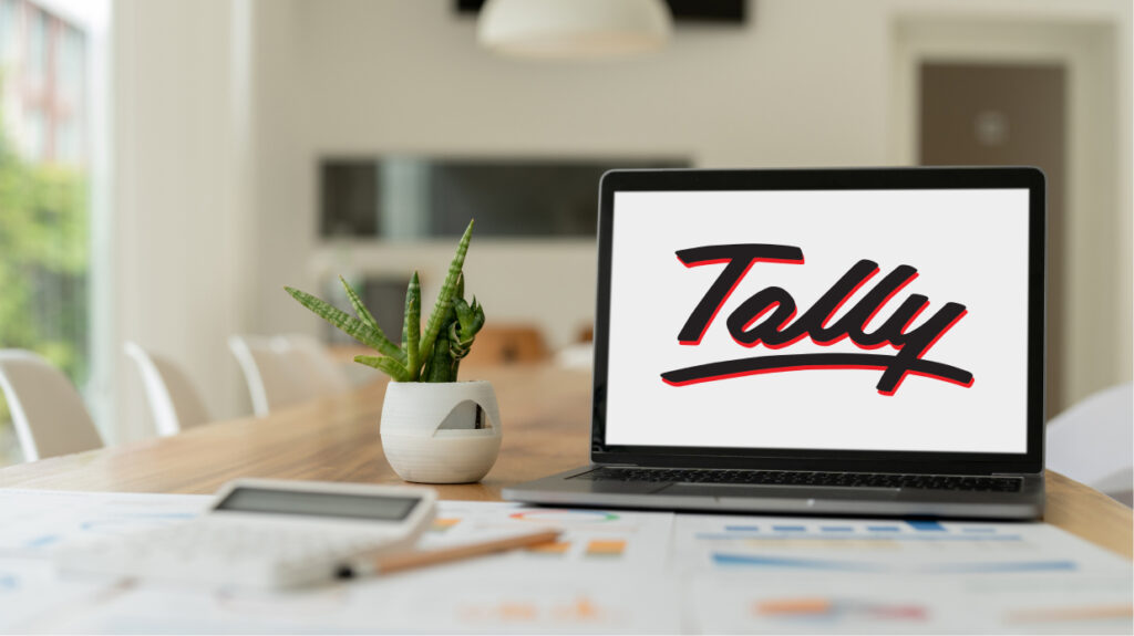 Tally Software Company in India