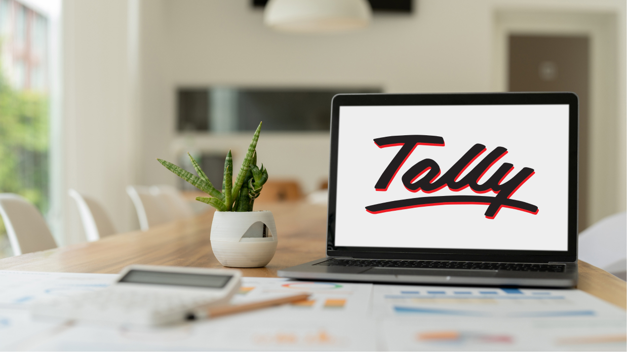 Tally Software Company in India